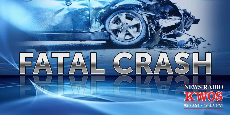 Three dead in car crash near Vienna