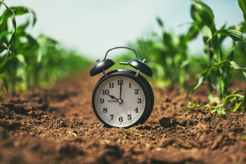 In plants, sense of time is connected with sense of danger