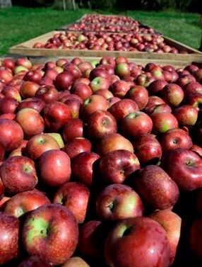 2026 Specialty Crop Block Grants award