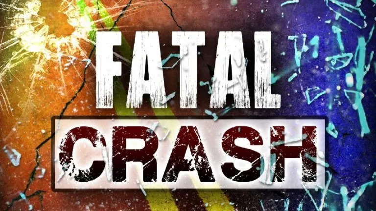 Two killed after car veers off road and hits tree north of Galena