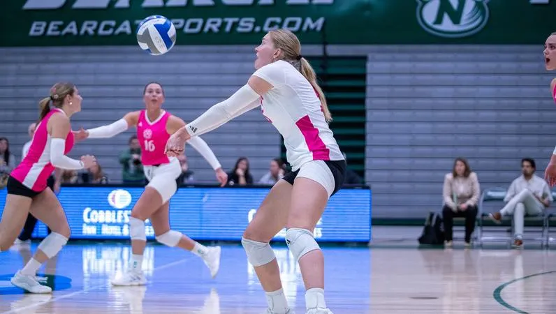 Hornets take down 'Cats in three