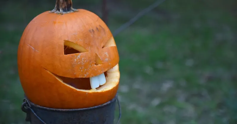 Halloween brings various events to Columbia