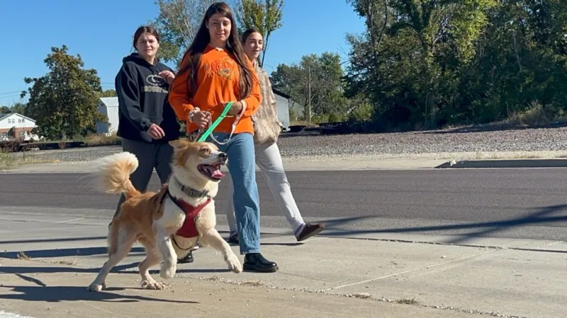 Pack Walk brings Mexico, Mo. community together to support shelter dogs