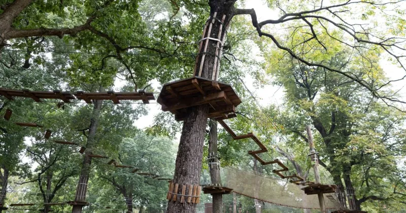 Zip line course in Creve Coeur Park is on hiatus. Owner weighs 'new approach.'