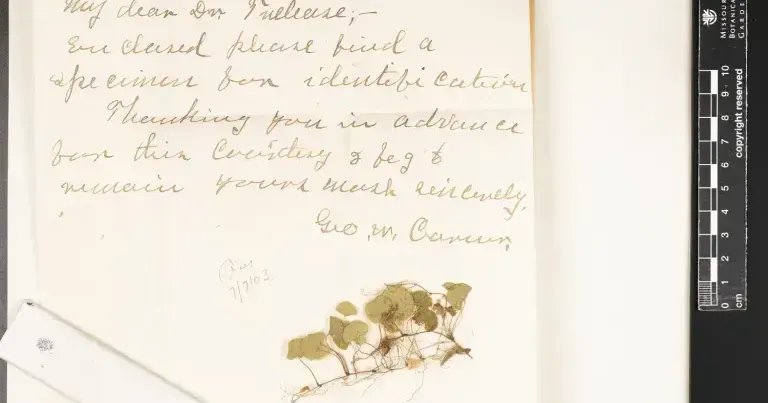 Missouri Botanical Garden finds George Washington Carver letter in collection