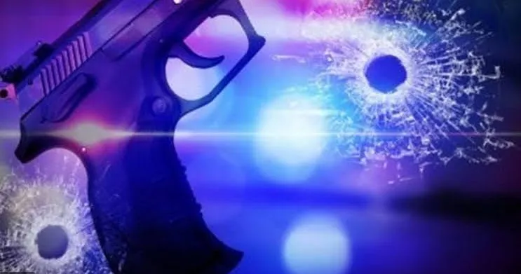 Shawnee Police Shoot & Kill Loose Horse