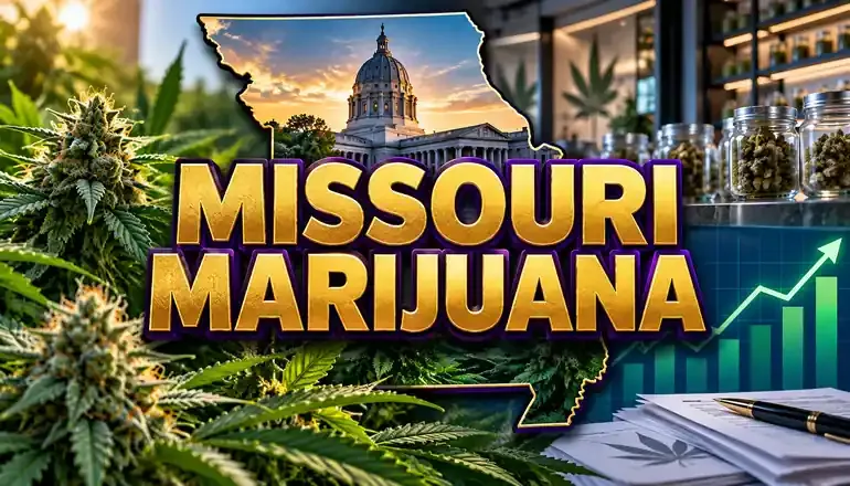 State says Missouri's marijuana market is competitive. But who owns it?