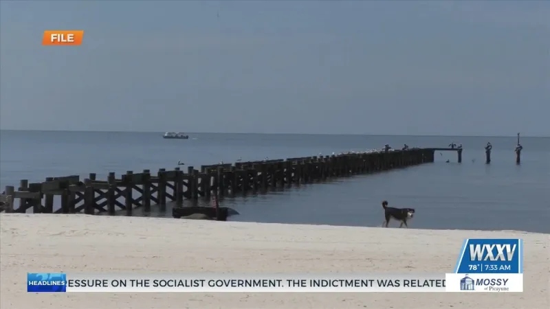 DMR to open Tidelands Trust Fund applications May 31