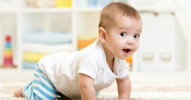 Most popular boy names in the 50s in Mississippi
