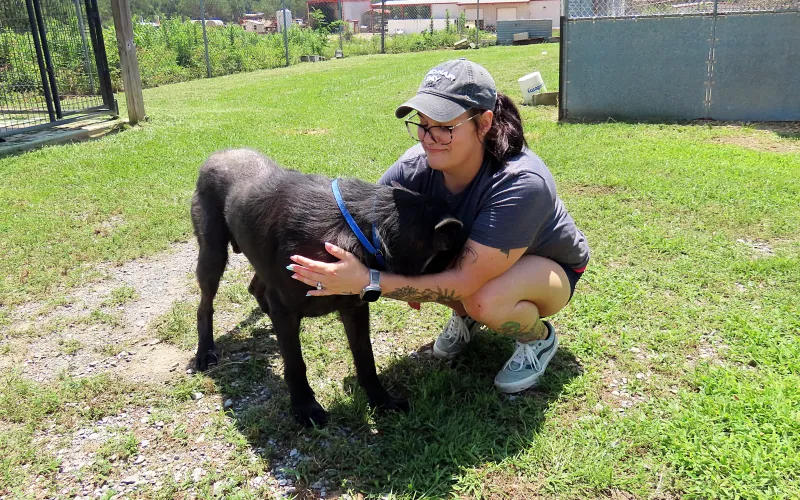 Where Animal Control ends and rescue begins
