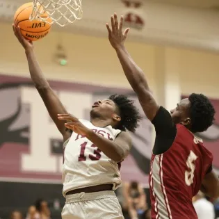 Summer practice on the mark for Whippets