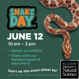 MS Museum of Natural Science Invites Visitors to a Summer of Discovery -- From World Snake Day to Ice Age Fun Fridays
