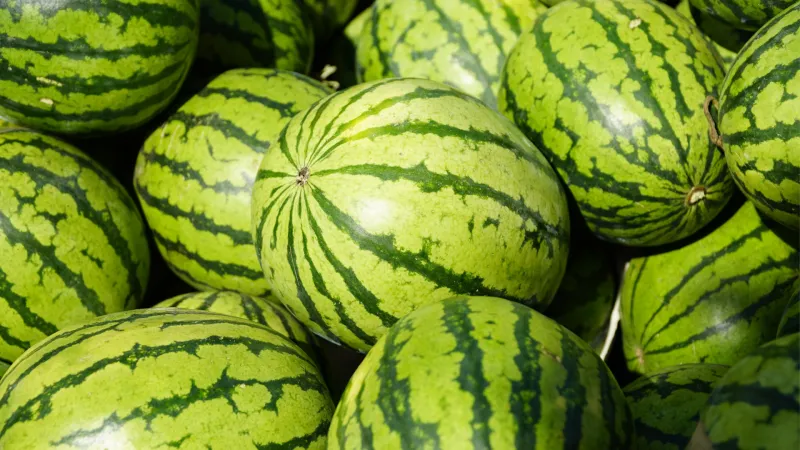 Pair of Jackson-metro farmers markets offering free watermelon this Saturday