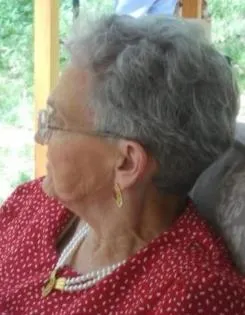 Mrs. Sara Belle Porter Goodin