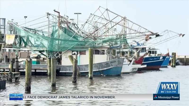 Senator Hyde-Smith files 'Save our Shrimpers' Act