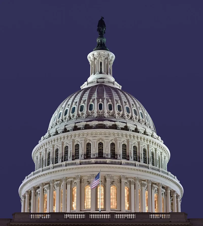 Ron Ellis: Congressional Longevity Is Not an Asset - It's a Liability