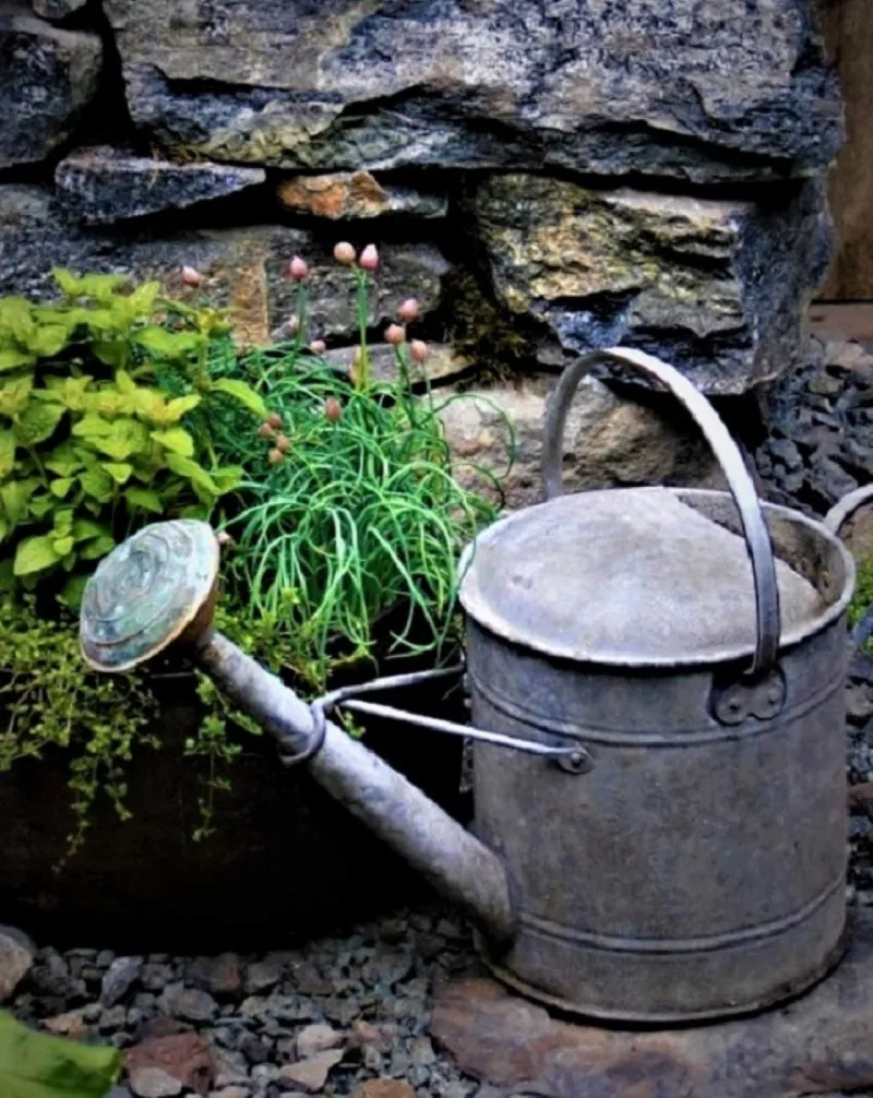 Felder Rushing: Water - The Most Important Tool in the Garden