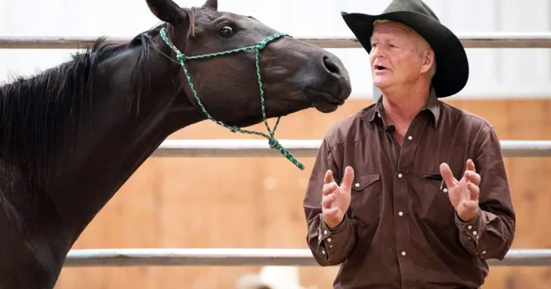 Daily returns to gentle a horse at fair's family night