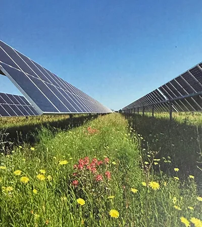 Robert Earl's News-Notes: Solar Farm plan was news to me
