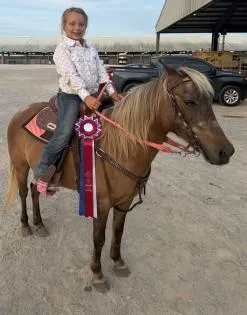 4-H HORSE SHOW HONORS