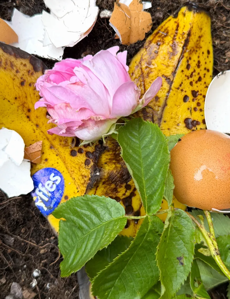 Felder Rushing: The Truth About DIY Fertilizers