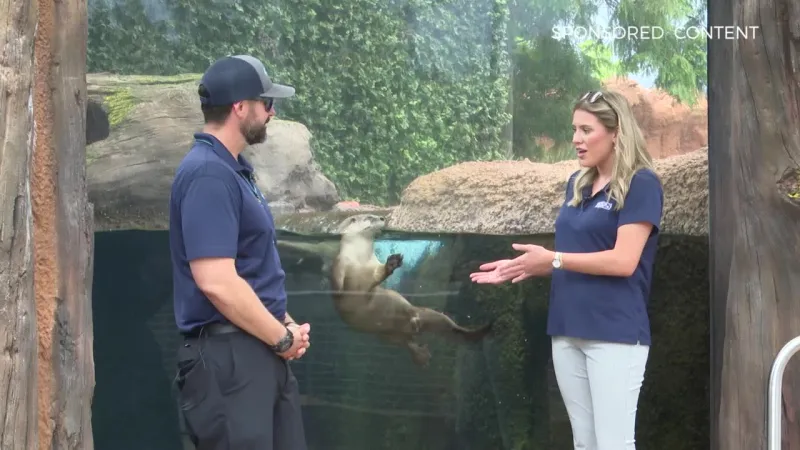 Wild Wonders -- Otters