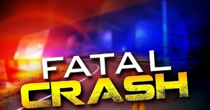 Woman hit by vehicle on Maxcey Road dies