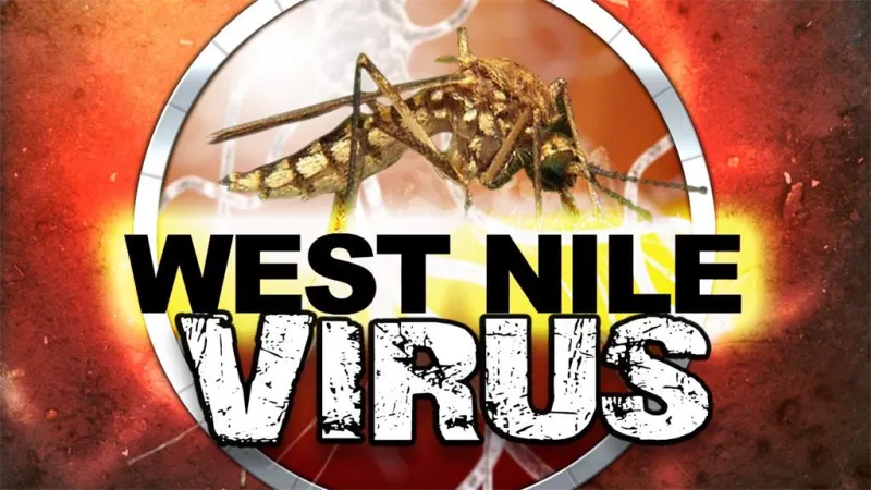 MSDH confirms state's first human case of West Nile Virus for 2026 in Hancock County