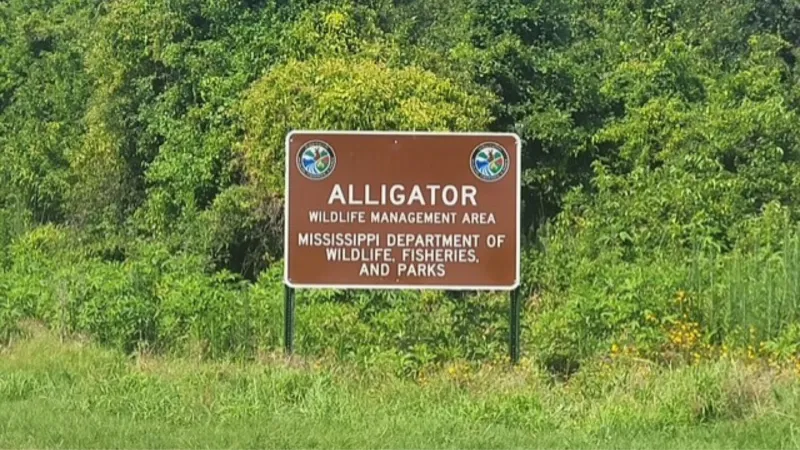 Public hunting area opening in North Mississippi Delta