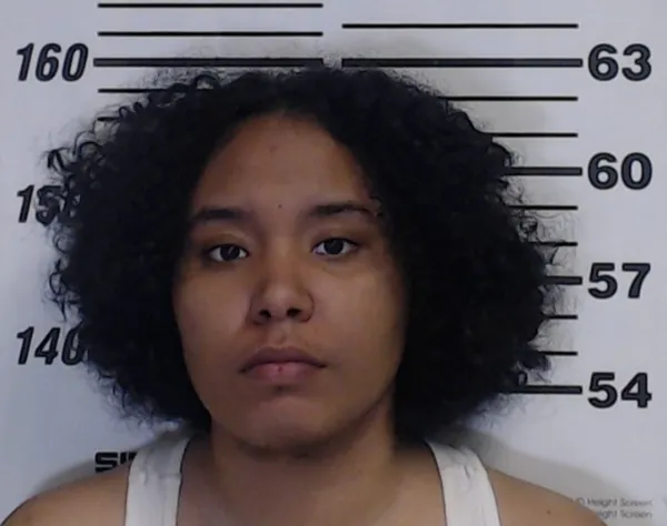Woman charged in sex crime case involving a dog in Gulfport