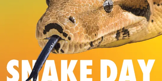 Celebrate Slithering Snake Day Fun at the Hattiesburg Zoo Saturday, July 18