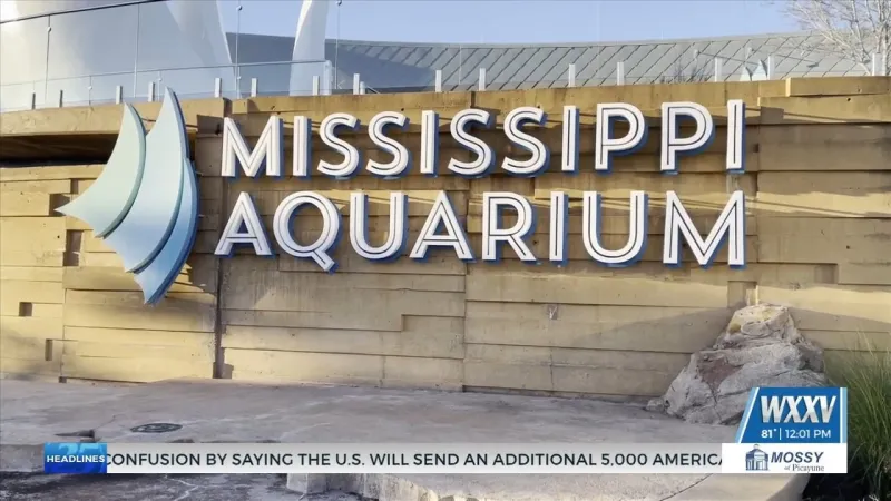 Mississippi Aquarium offering free admission for school employees