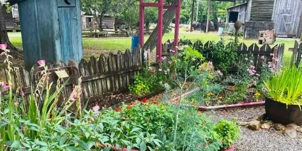 Gardening as patriotism
