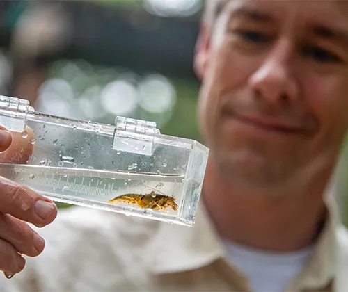 Small creatures tell big stories about stream health