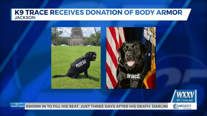 K9 Trace receives donation of body armor