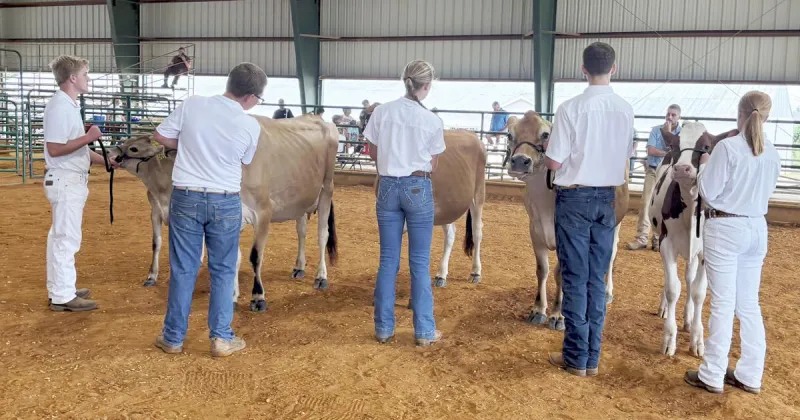 Dairy Show returns to Union County Fair after 31-year absence