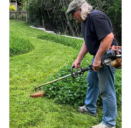 Cutting height is key to a thick lawn