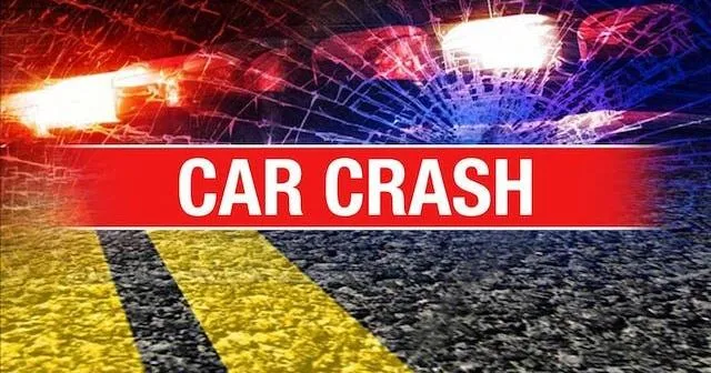 'Action Jackson' clings to life after getting hit crossing I-59 on bike