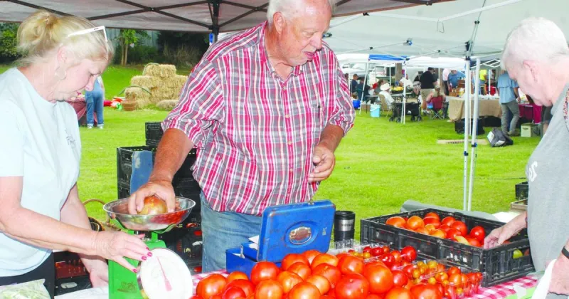 Perfect market shopping Saturdays!