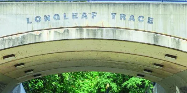 Friends of Longleaf Trace organization reinstated, working with board of directors to improve user experiences