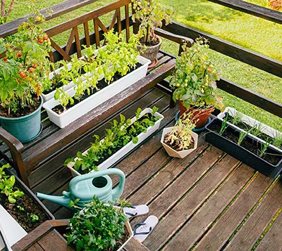 Study, plan homesteading before beginning