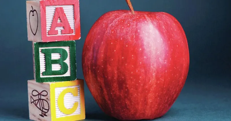 Qualifying open for Monroe County, Nettleton school board seats
