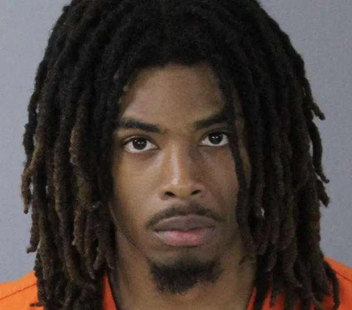 Stupid Crook of the Day: Sonic Edition