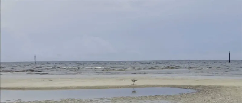 Mississippi State Department of Health provides summer vibrio update