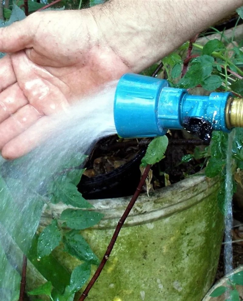 Felder Rushing:The Right Way to Water in Summer Heat