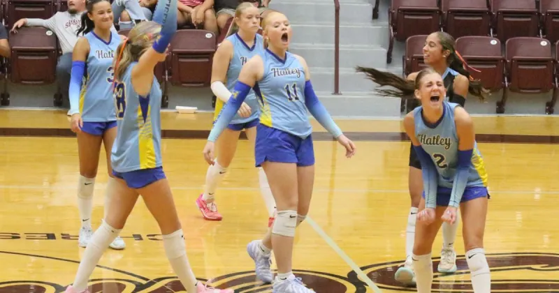 County Champs: Lady Tigers go undefeated in Monroe County Tournament