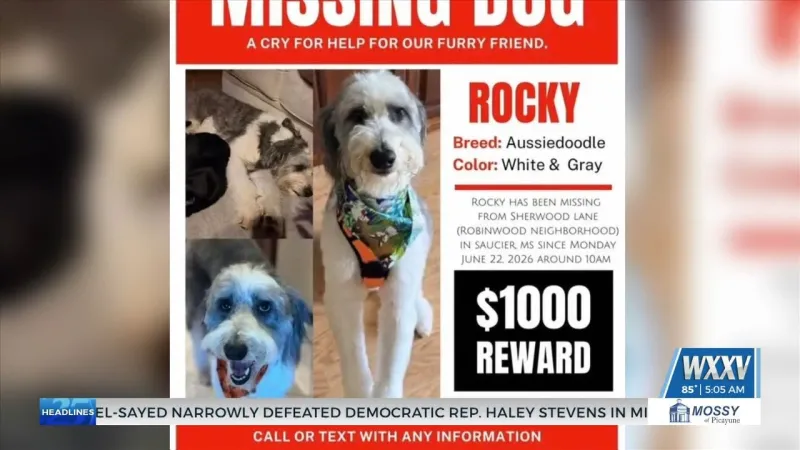Missing support dog leaves void for South Mississippi family