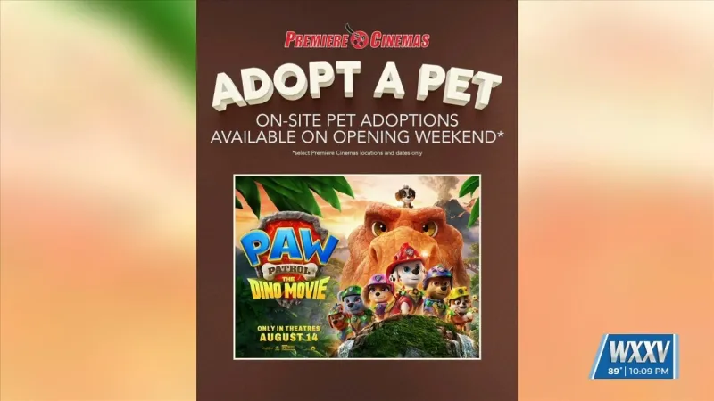 Premiere Cinemas partners with local animal shelters for pet adoptions at Biloxi theater