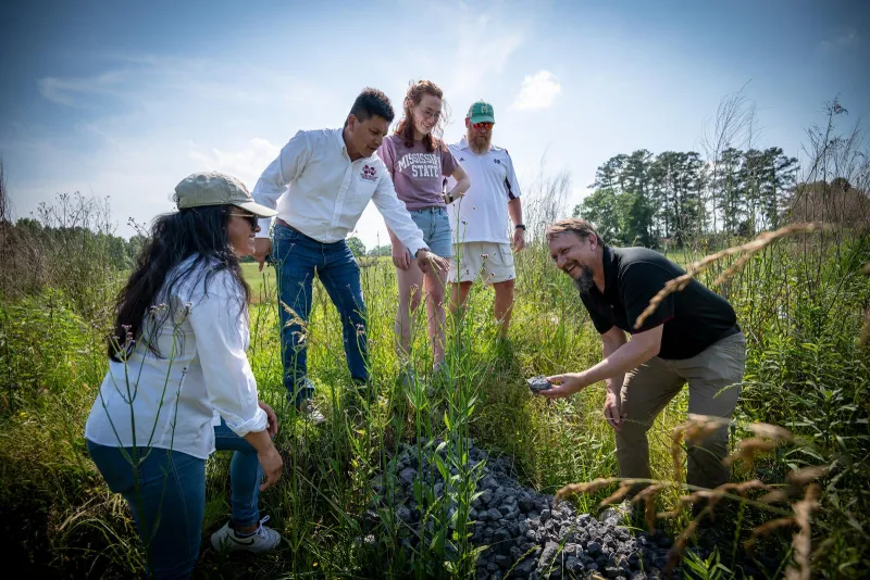 MSU leads multi-institutional study of novel system to improve water quality