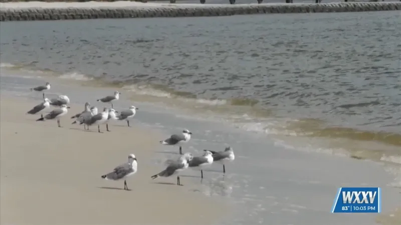 MDEQ Lifts Water Contact Advisory for Pass Christian Central Beach